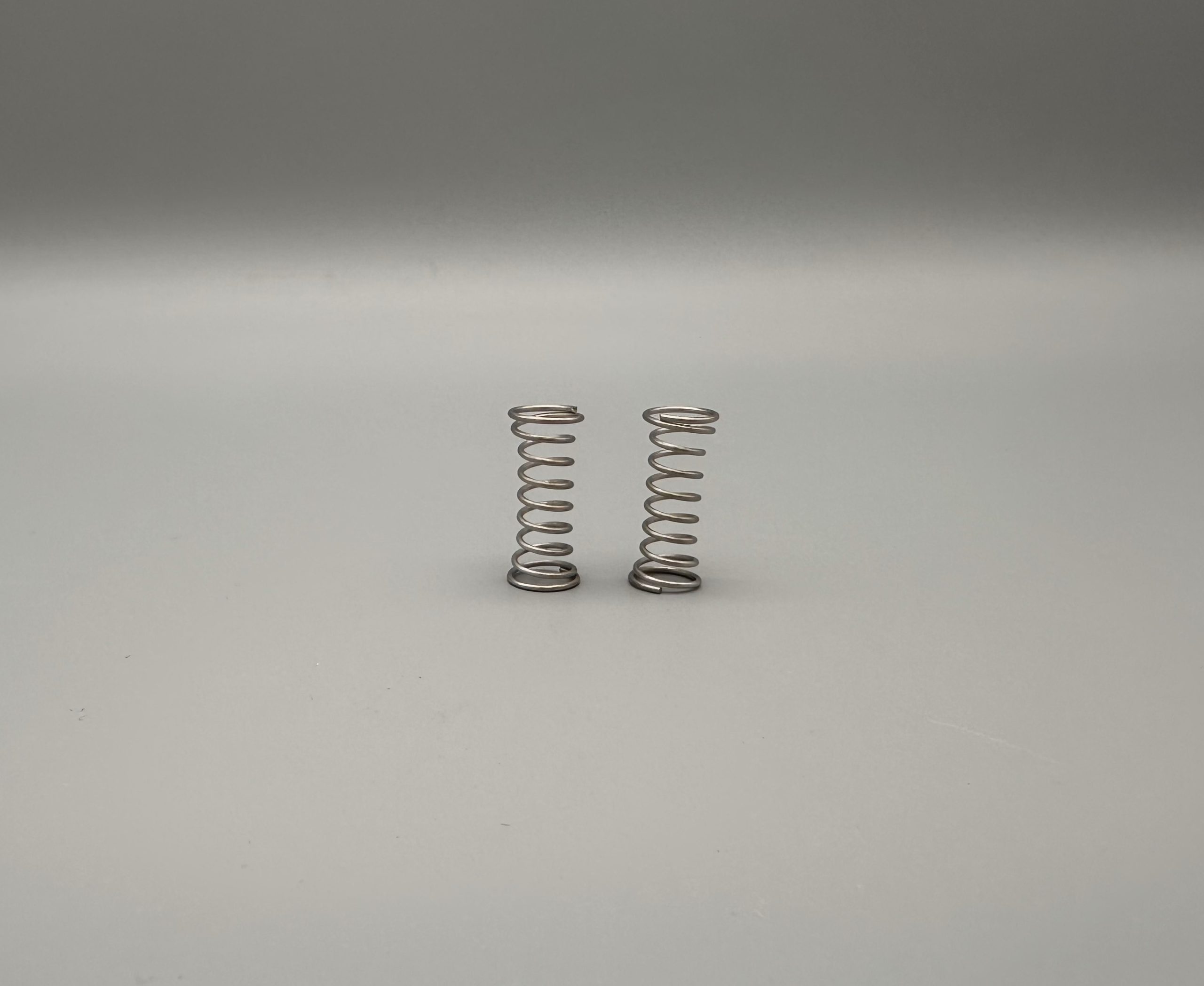 5027 - Lock Plate Springs (set of 2)